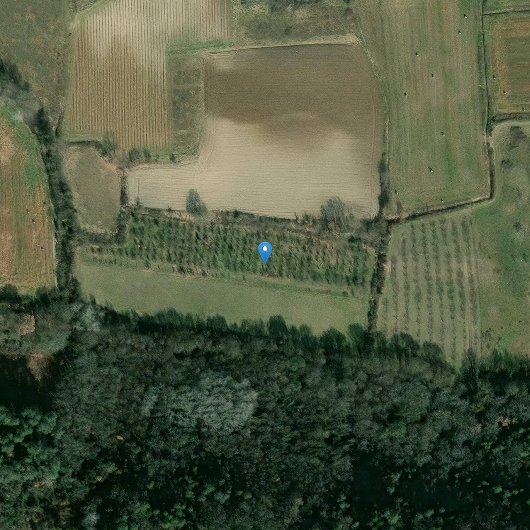 Photo de Fort Saint-Laurent-la-Vernede