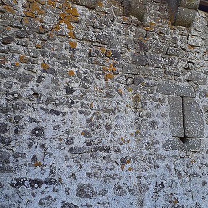 Photo de Chapelle et enceinte fortifiée de Loré