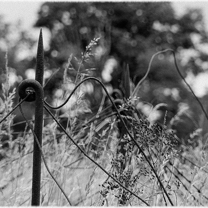 Photo de Fort dUxegney