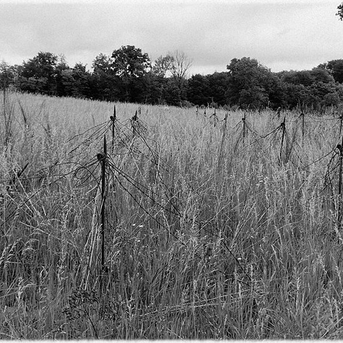 Photo de Fort dUxegney