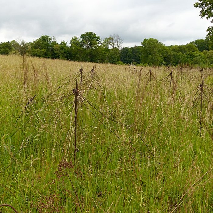 Photo de Fort dUxegney