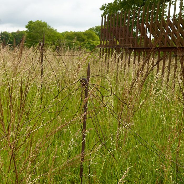 Photo de Fort dUxegney