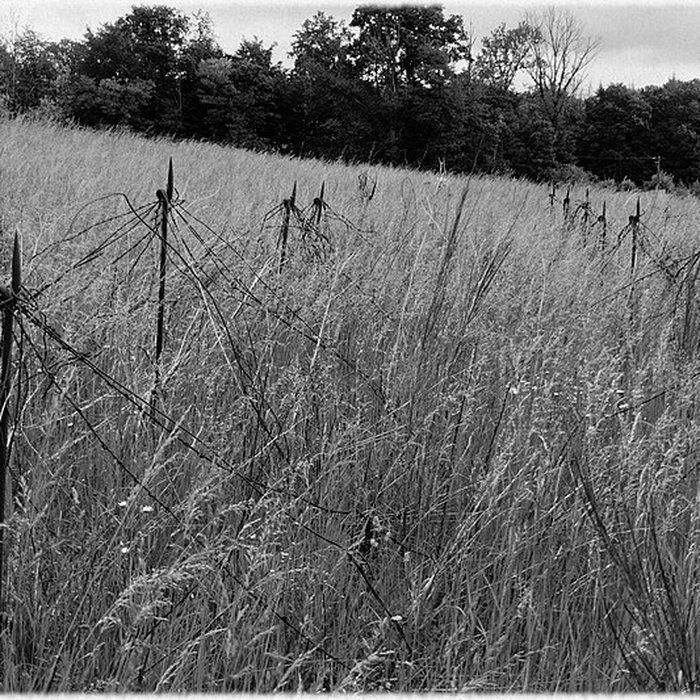 Photo de Fort dUxegney