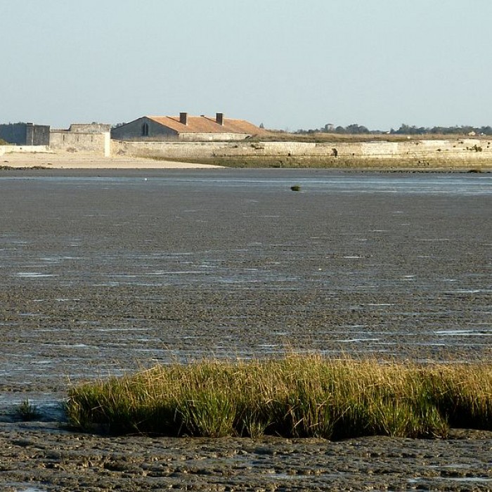 Photo de Fort Lapointe