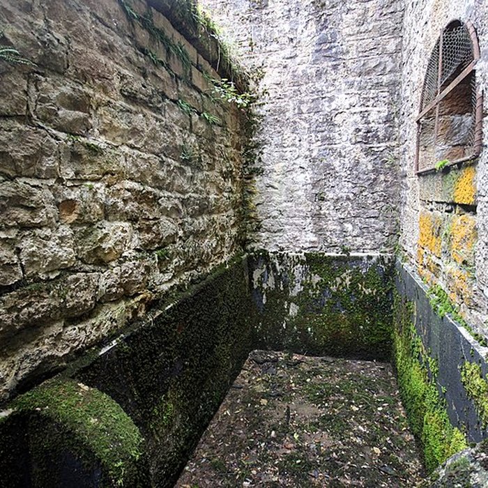 Photo de Fort Vercingétorix de Cognelot