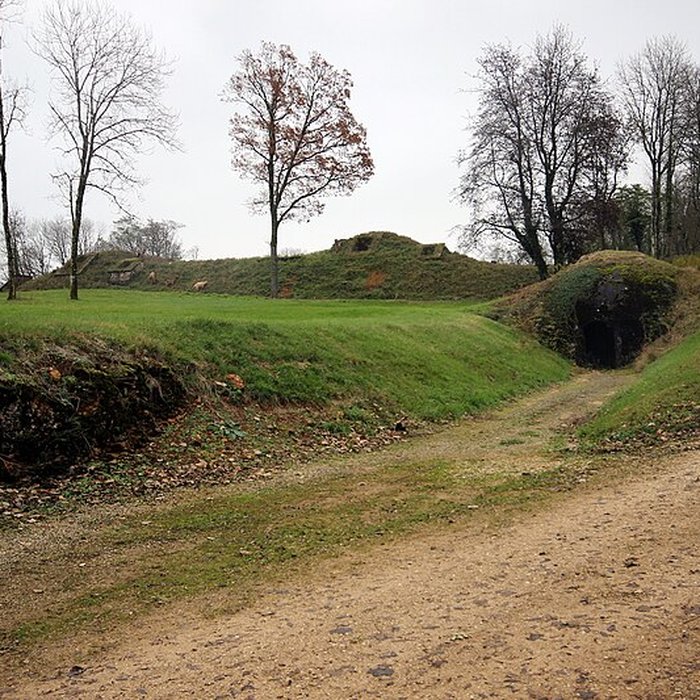 Photo de Fort Vercingétorix de Cognelot