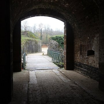 Fort Vercingétorix de Cognelot