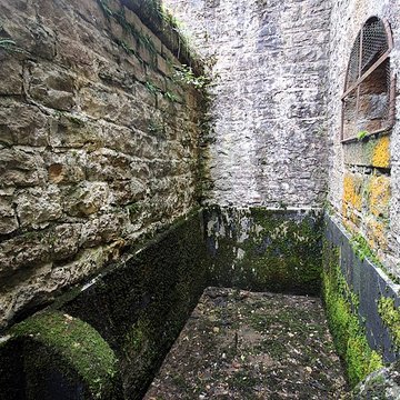 Fort Vercingétorix de Cognelot