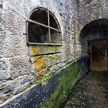 Fort Vercingétorix de Cognelot