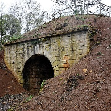 Fort Vercingétorix de Cognelot