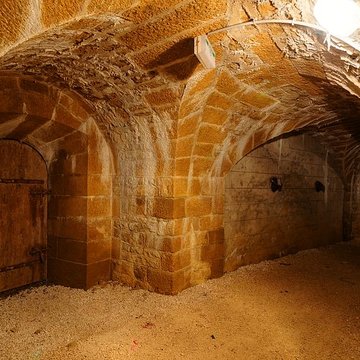 Fort Vercingétorix de Cognelot