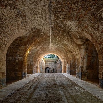 Fort Vercingétorix de Cognelot