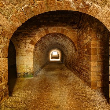 Fort Vercingétorix de Cognelot