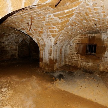 Fort Vercingétorix de Cognelot