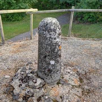 Fort Vercingétorix de Cognelot