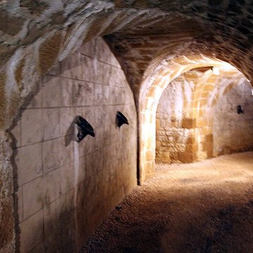 Fort Vercingétorix de Cognelot