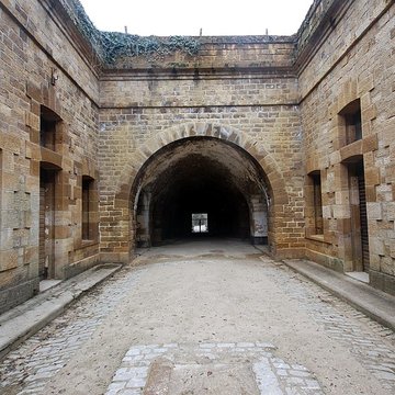 Fort Vercingétorix de Cognelot