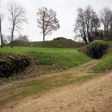 Fort Vercingétorix de Cognelot