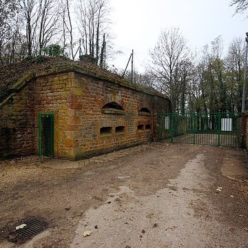 Fort Vercingétorix de Cognelot