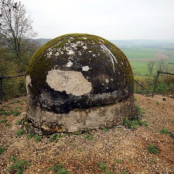 Fort Vercingétorix de Cognelot