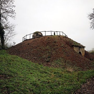Fort Vercingétorix de Cognelot