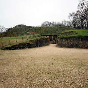 Fort Vercingétorix de Cognelot