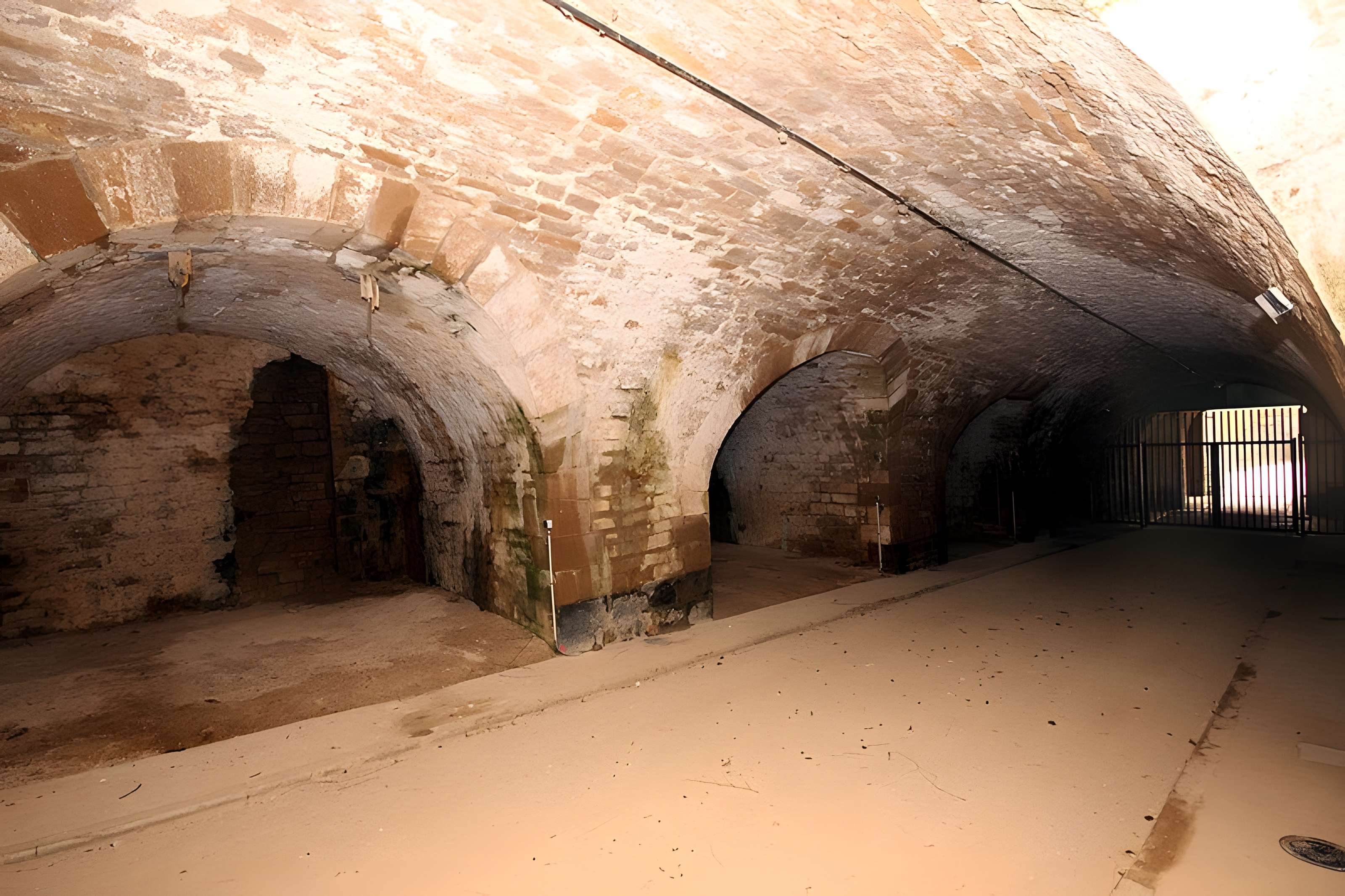 Fort Vercingétorix de Cognelot