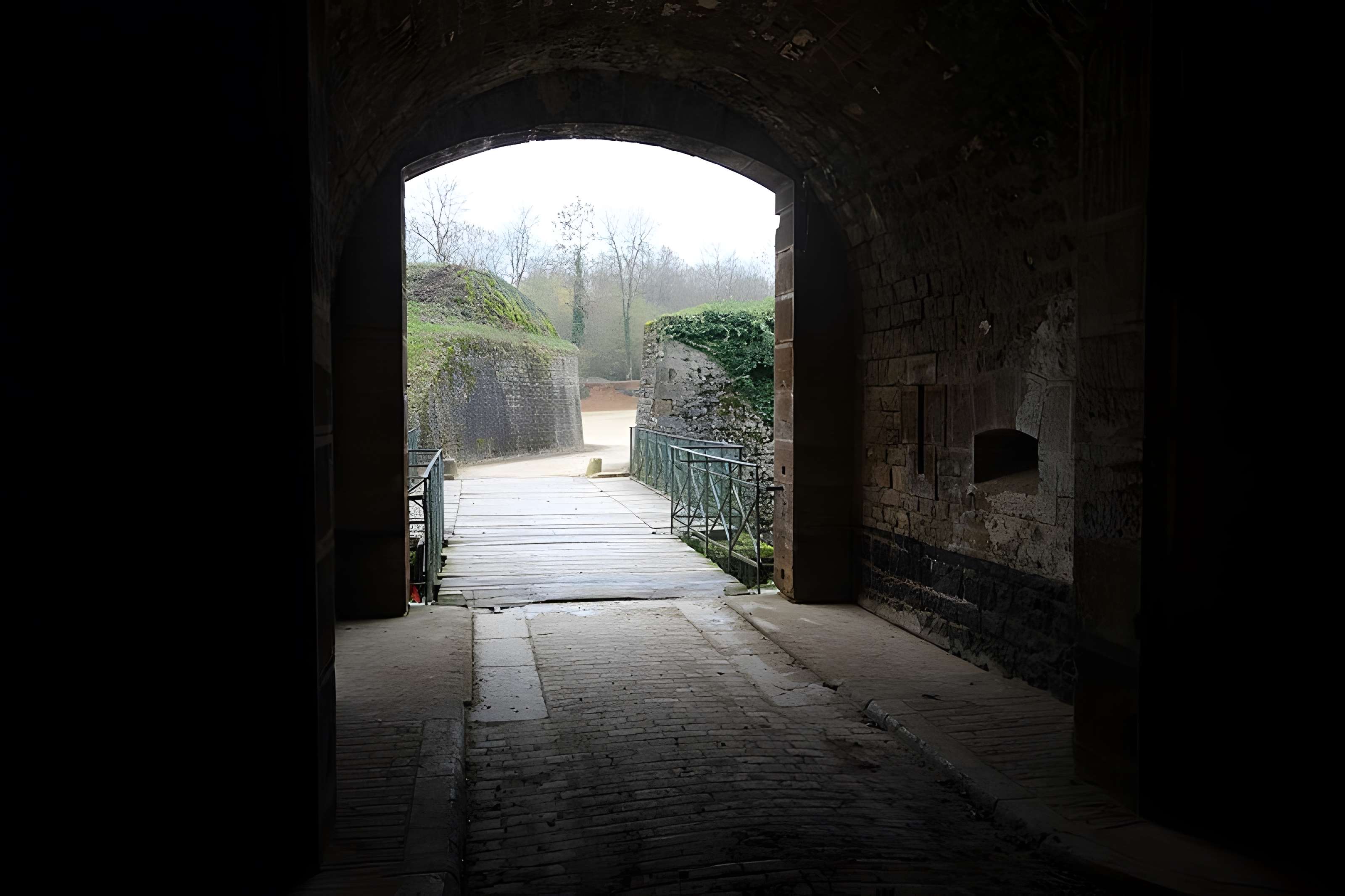 Fort Vercingétorix de Cognelot