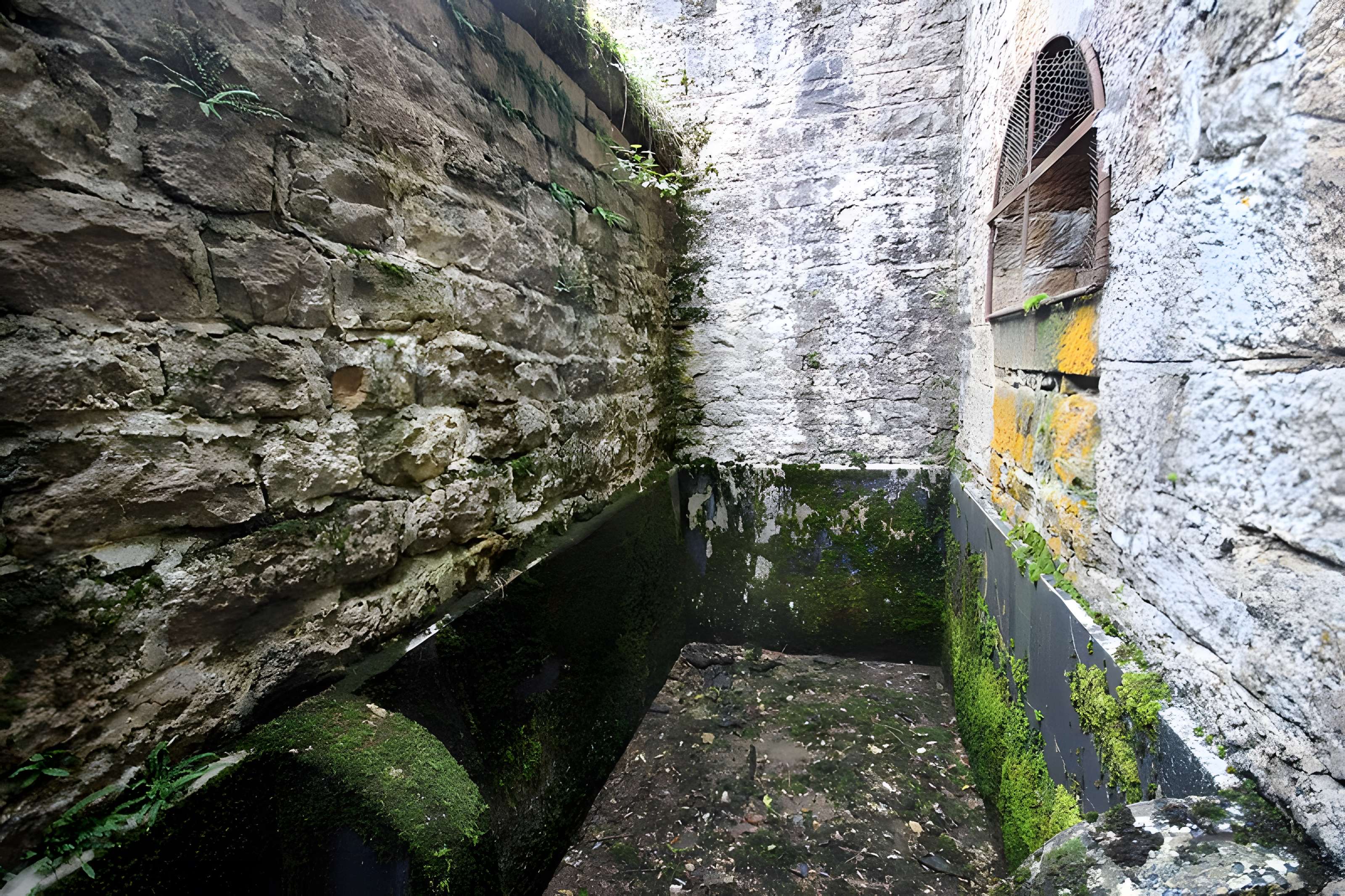 Fort Vercingétorix de Cognelot