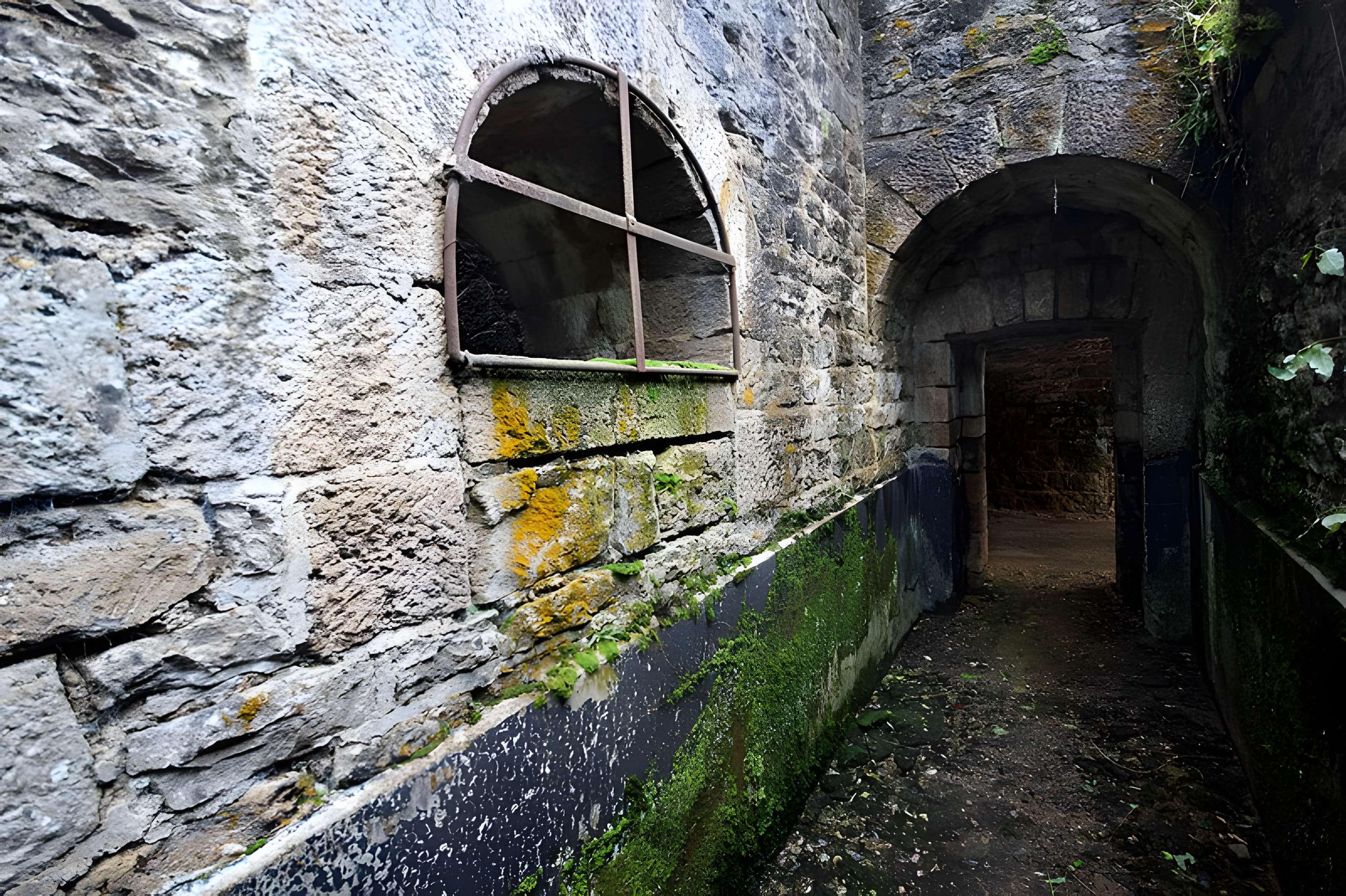 Fort Vercingétorix de Cognelot