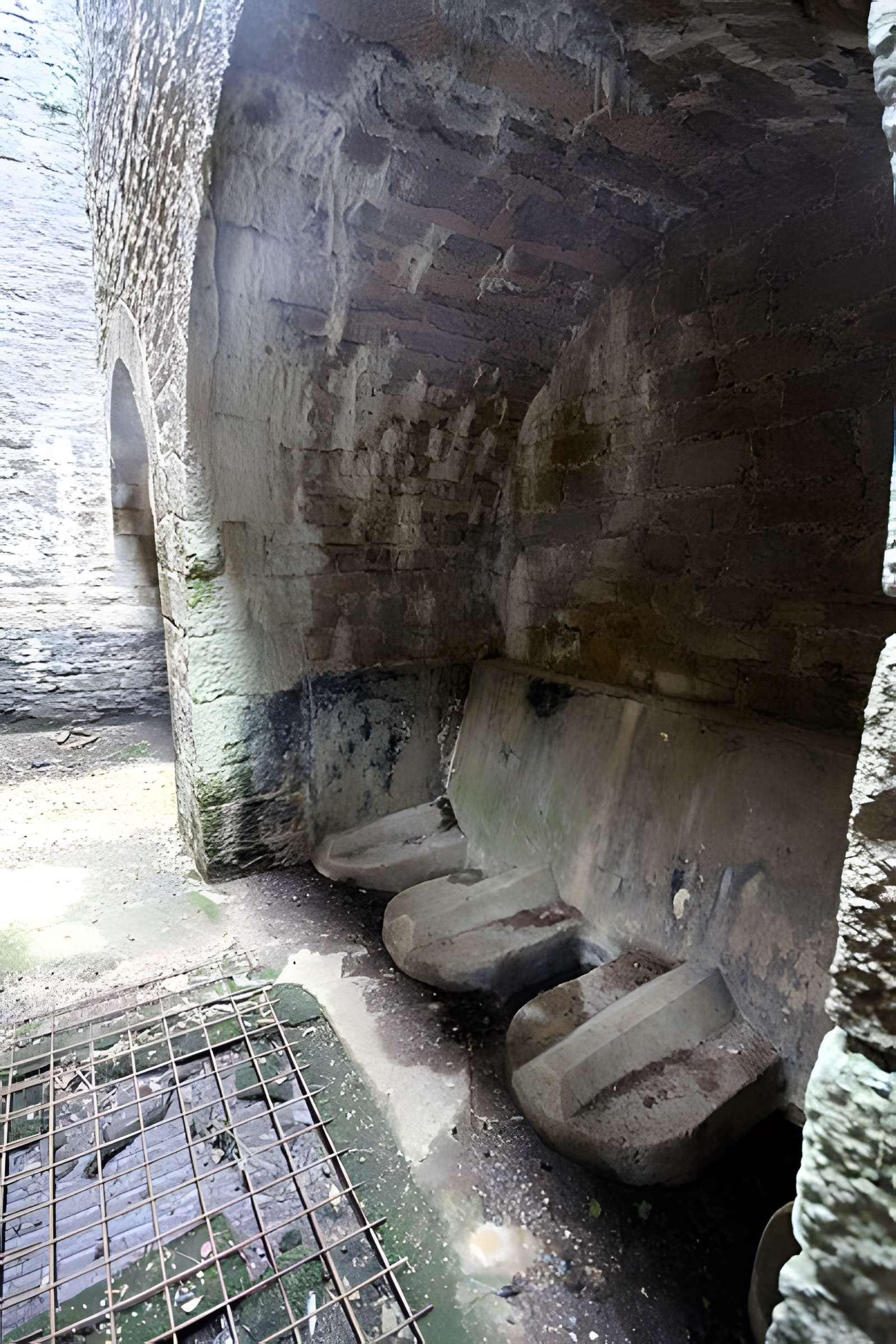 Fort Vercingétorix de Cognelot