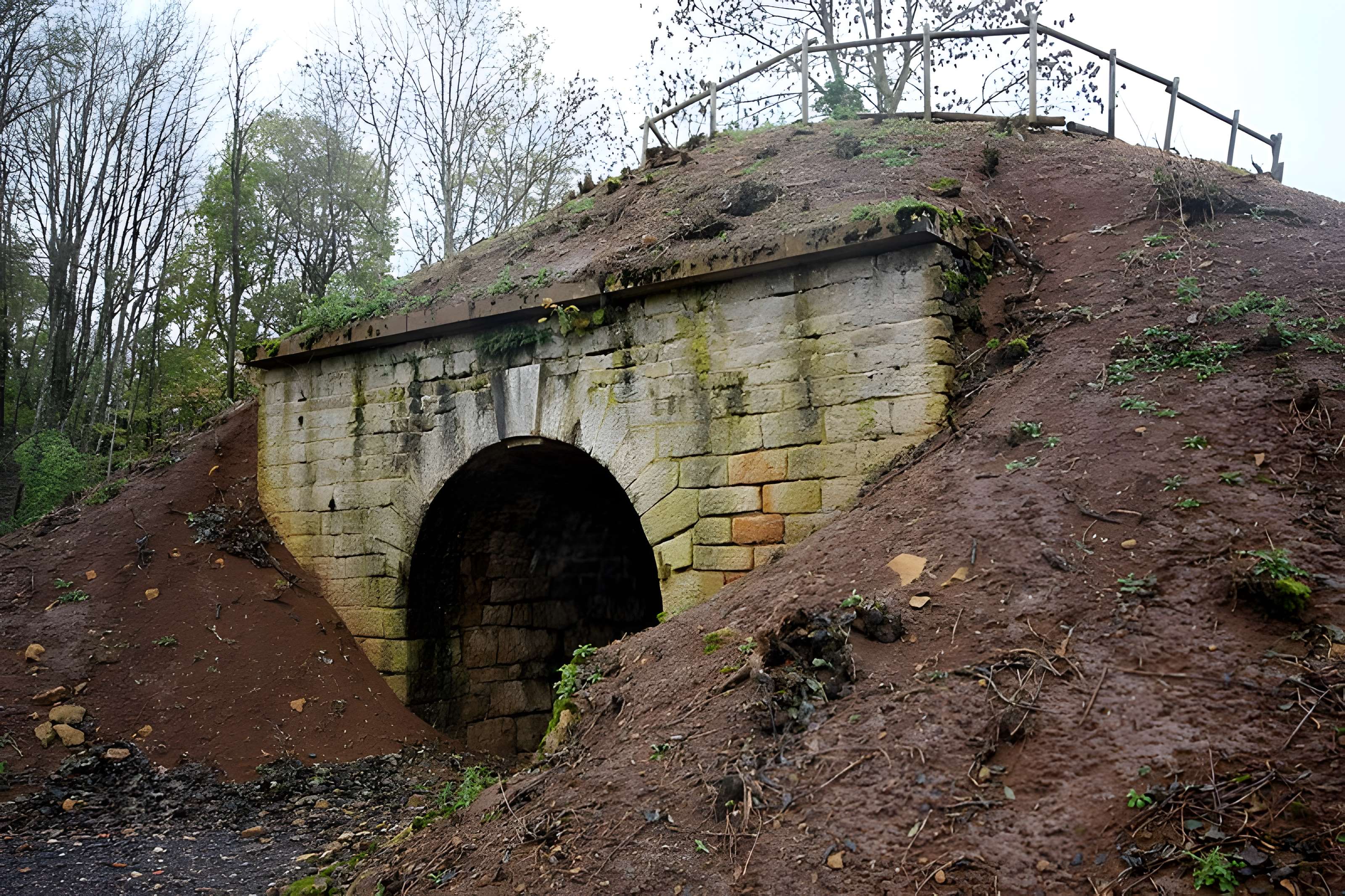 Fort Vercingétorix de Cognelot