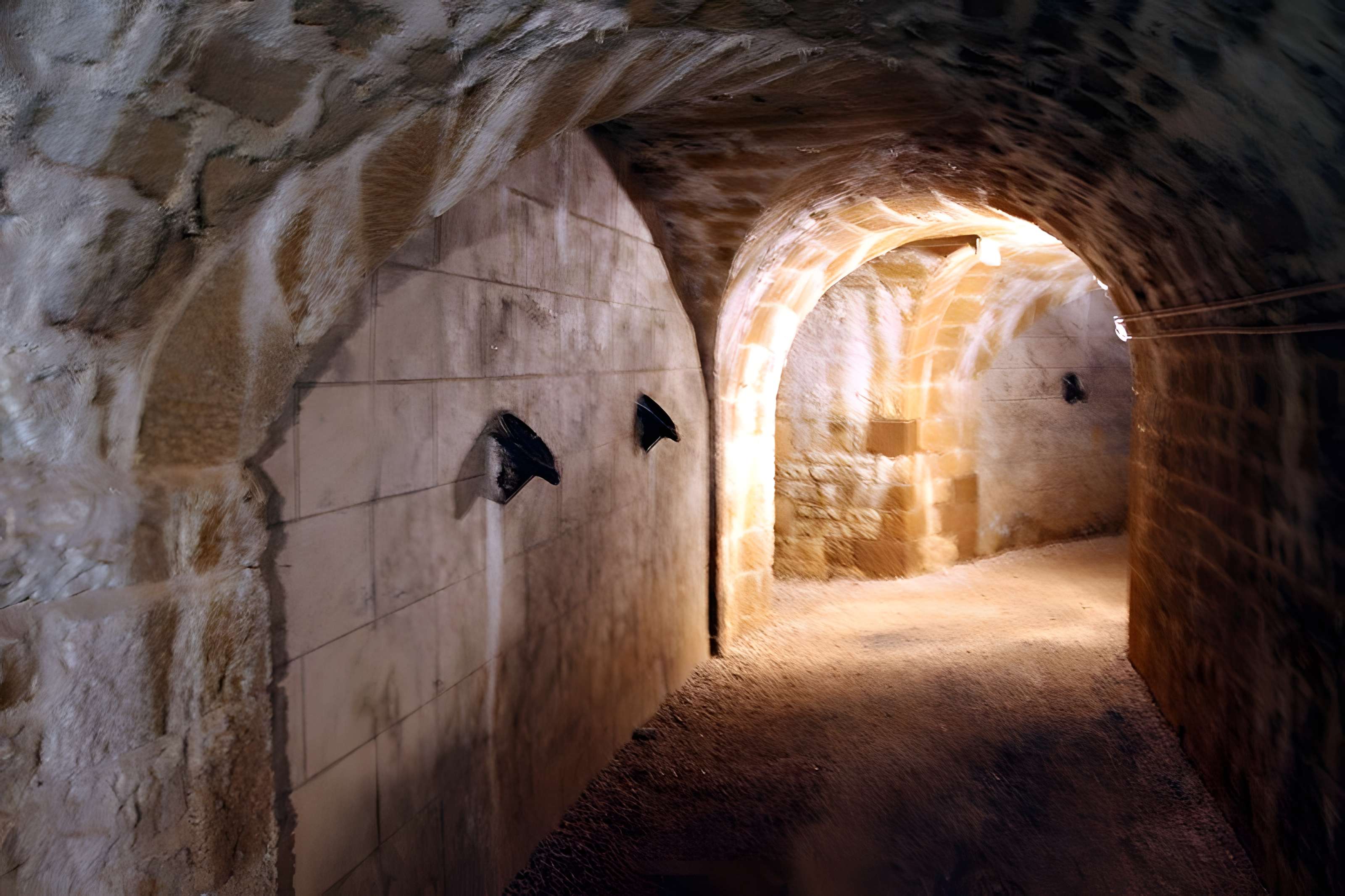 Fort Vercingétorix de Cognelot