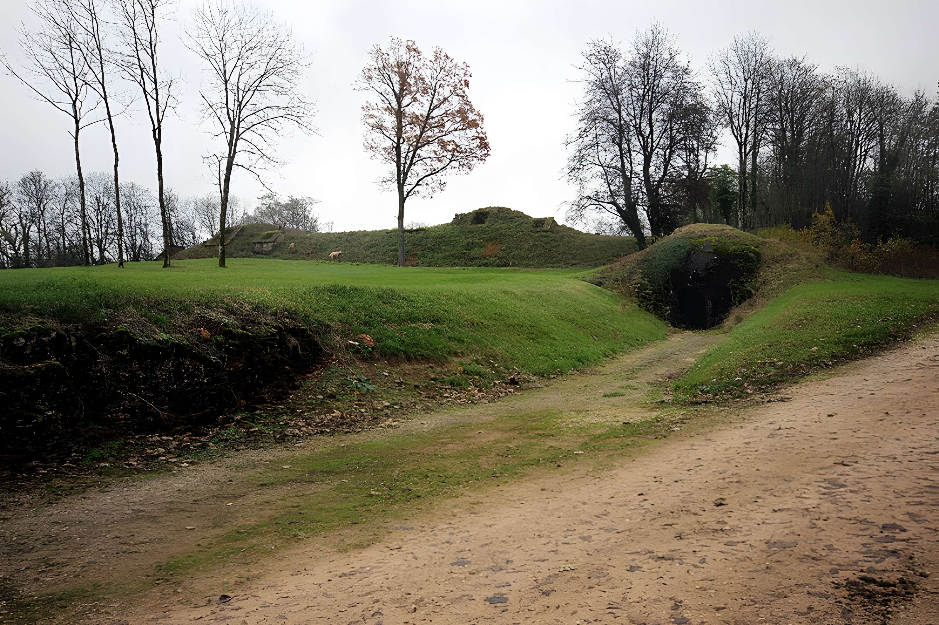 Fort Vercingétorix de Cognelot