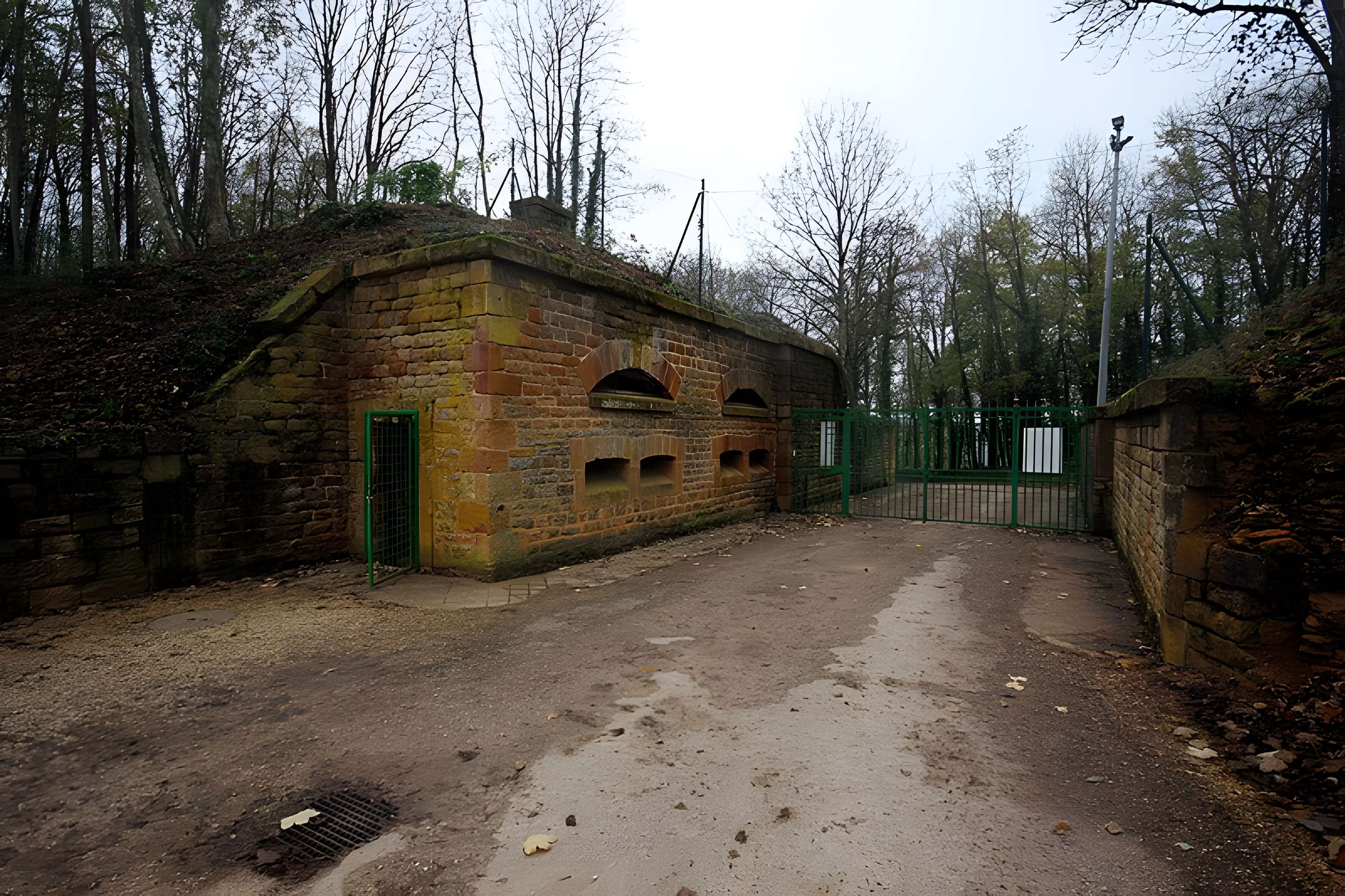 Fort Vercingétorix de Cognelot