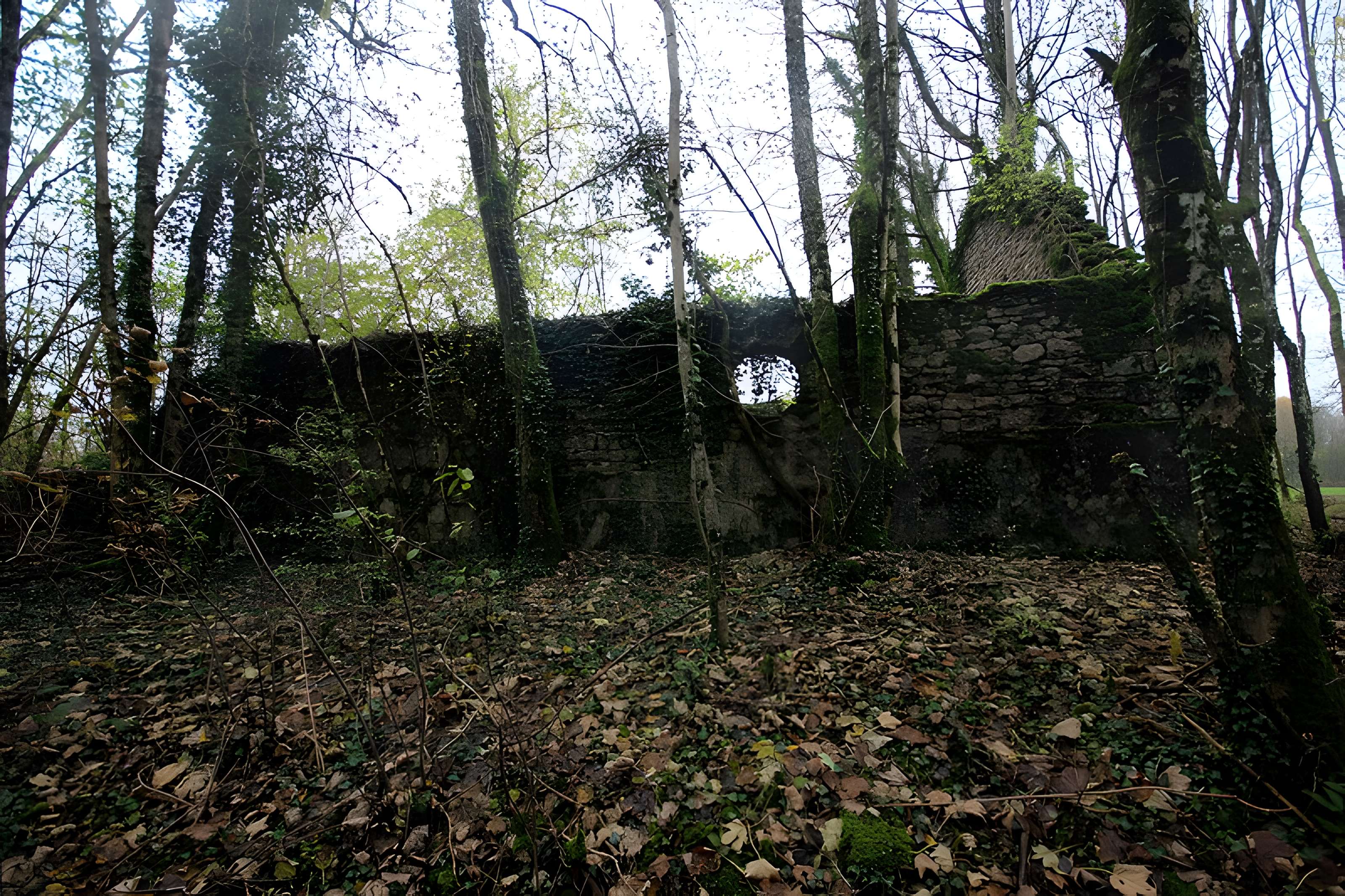 Fort Vercingétorix de Cognelot