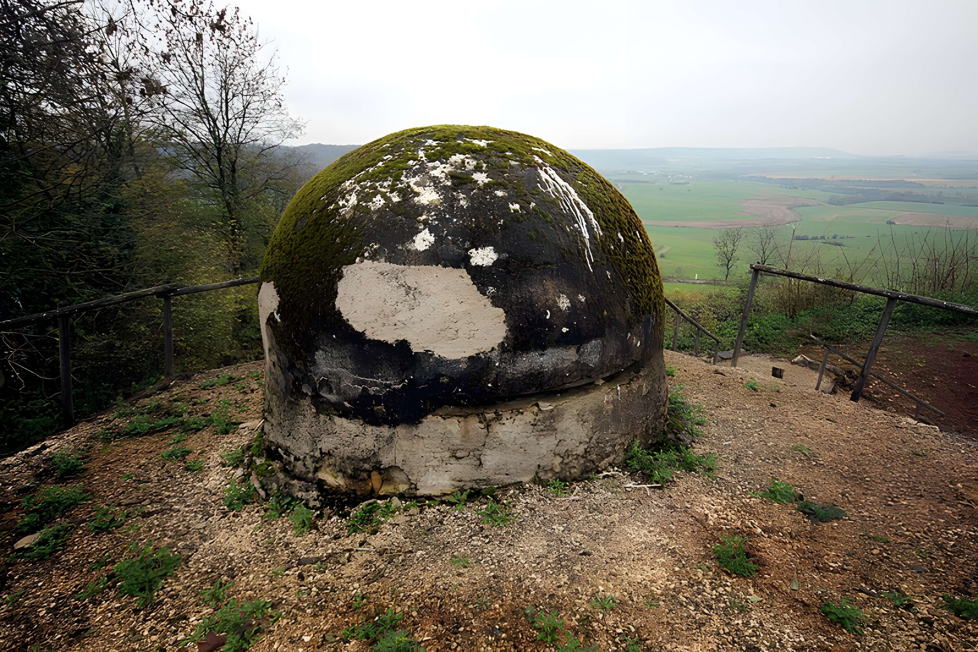 Fort Vercingétorix de Cognelot