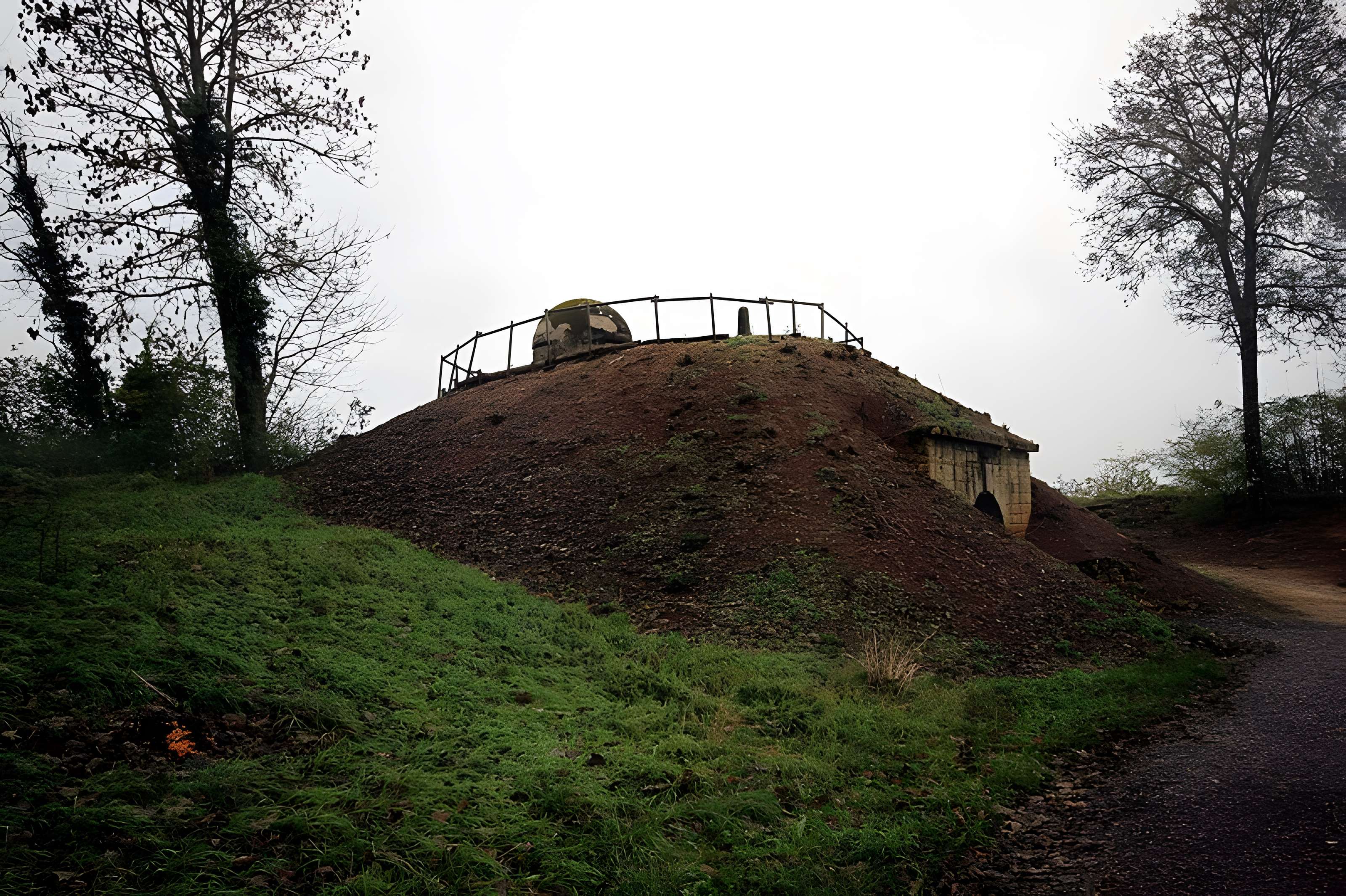 Fort Vercingétorix de Cognelot