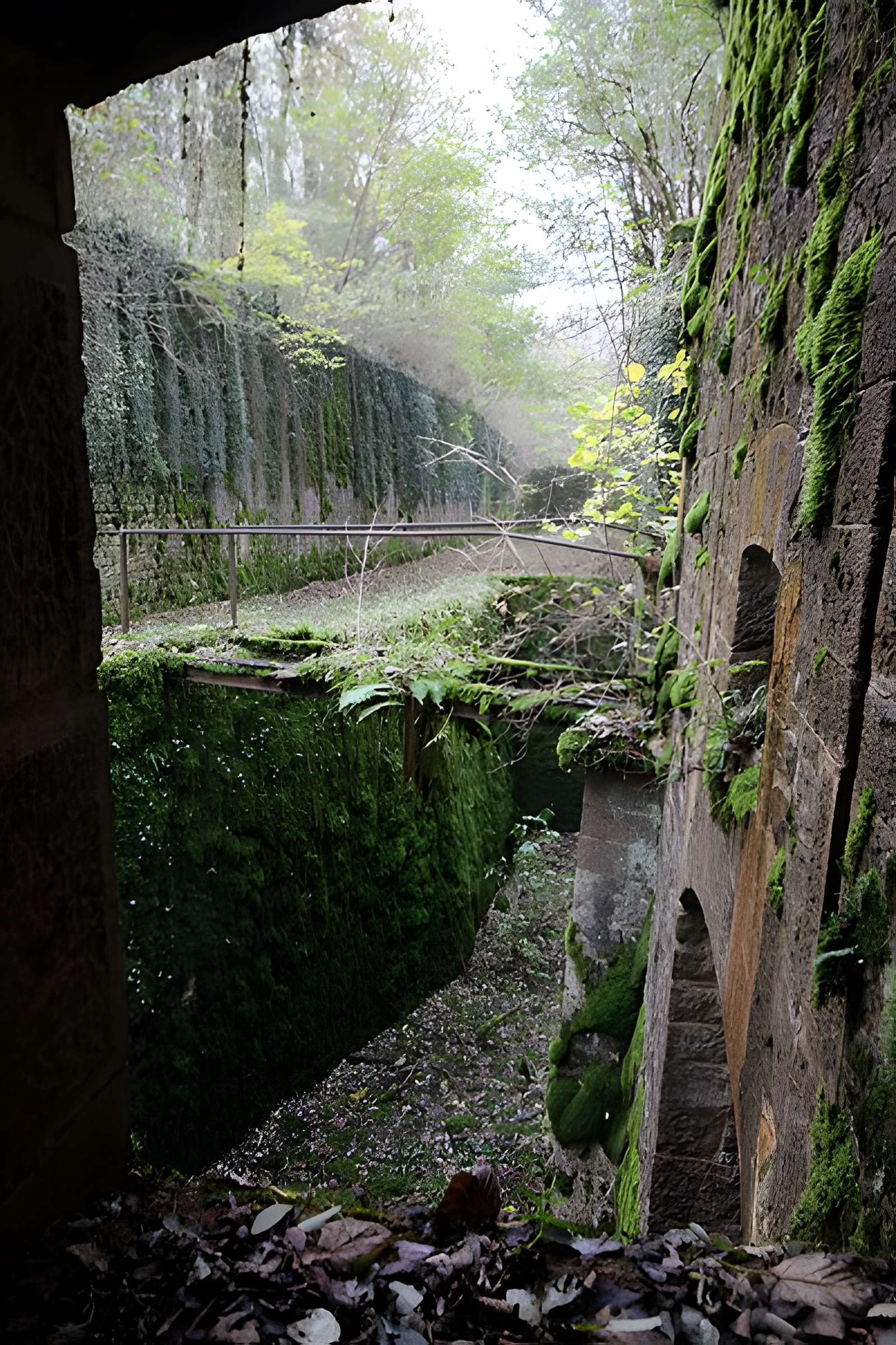 Fort Vercingétorix de Cognelot