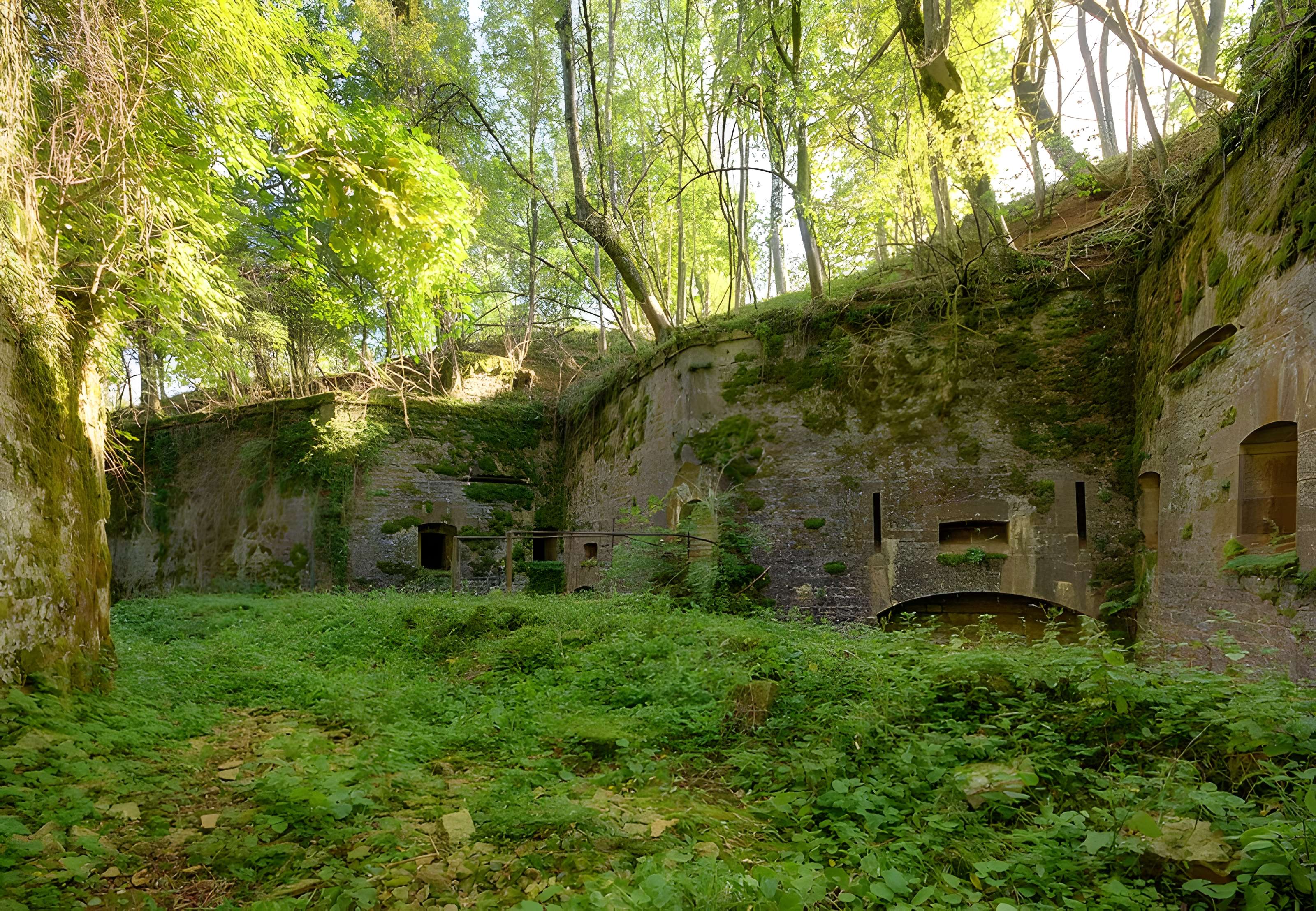 Fort Vercingétorix de Cognelot