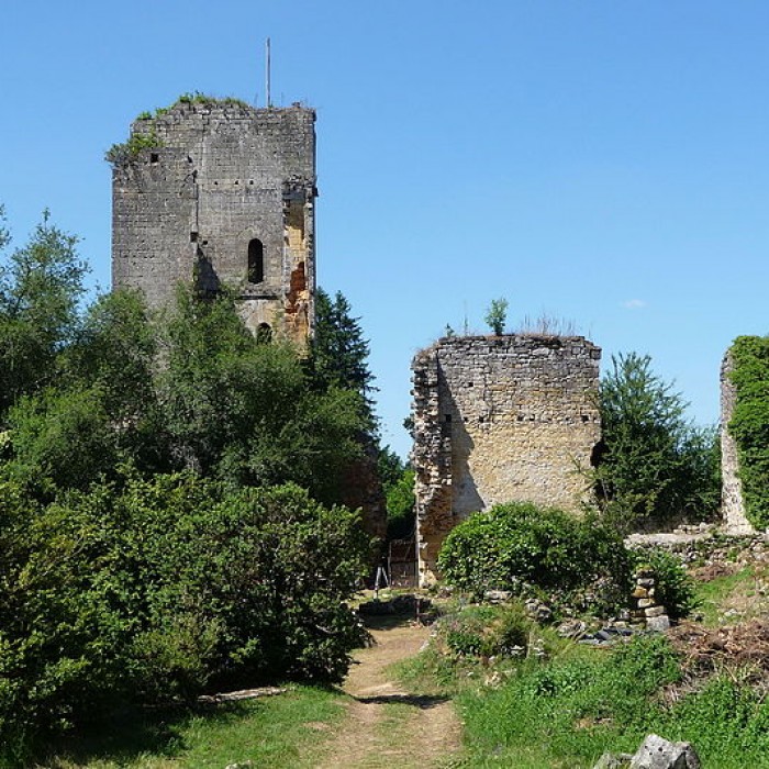 Photo de Ruines du château de Miremont