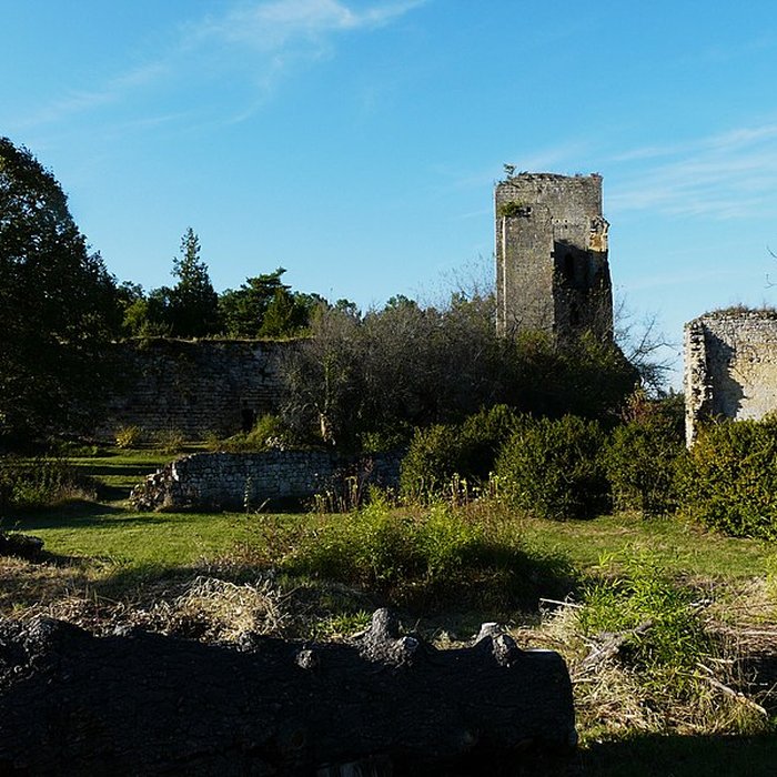 Photo de Ruines du château de Miremont