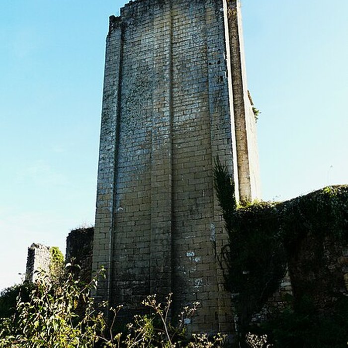 Photo de Ruines du château de Miremont