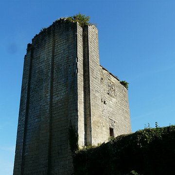 Ruines du château de Miremont