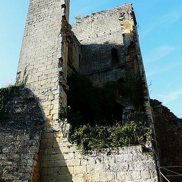 Ruines du château de Miremont