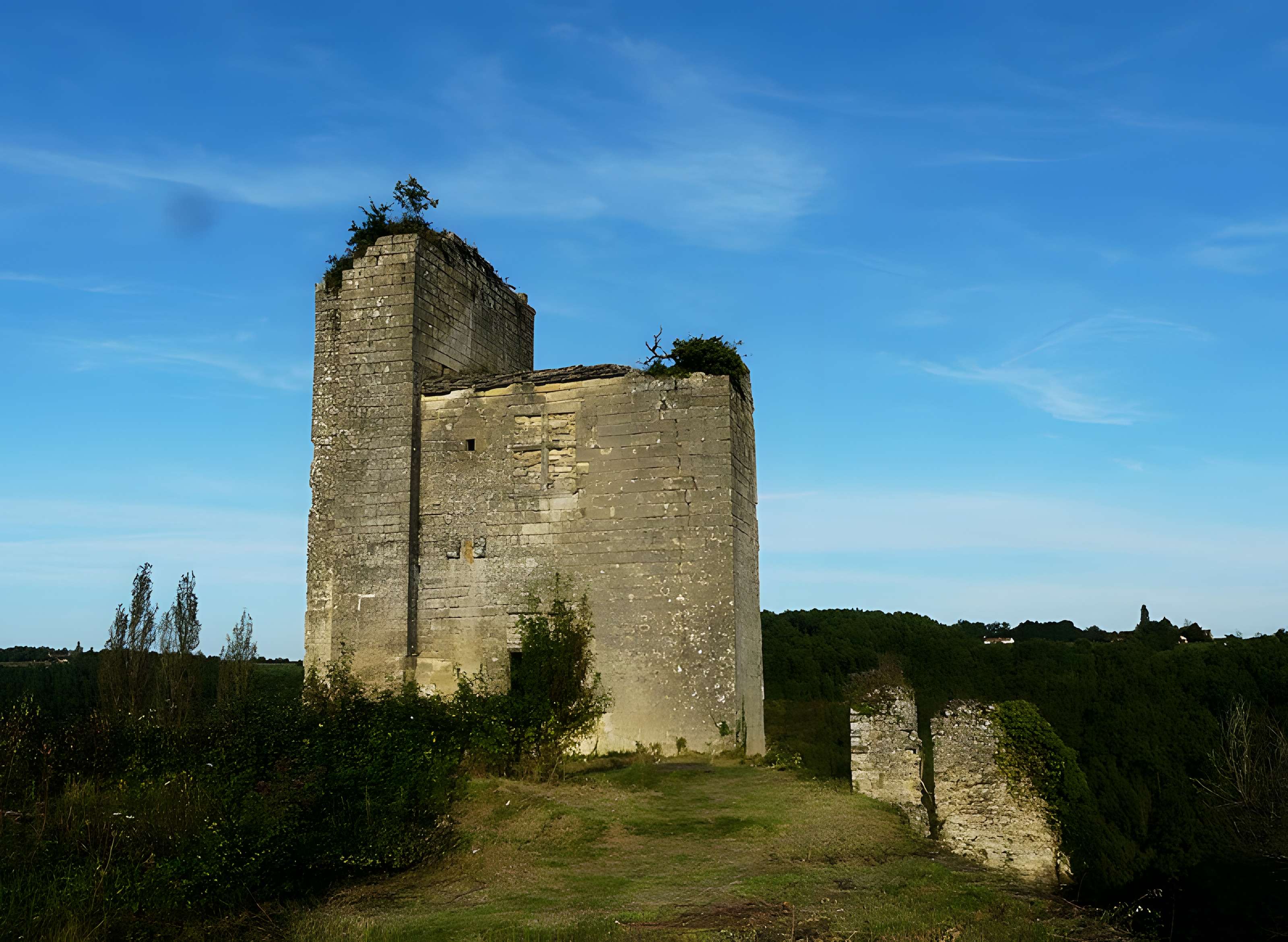 Ruines du château de Miremont