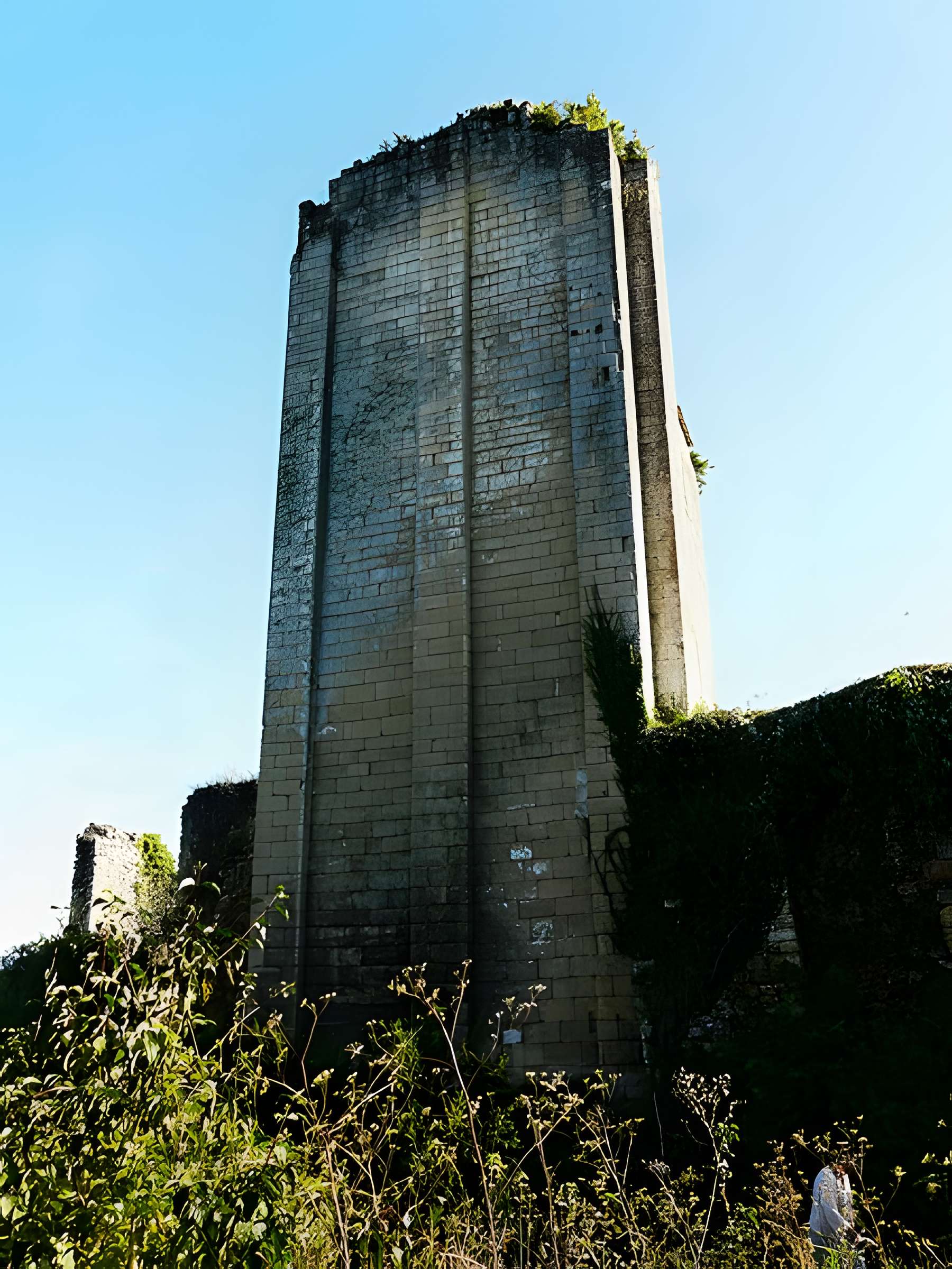 Ruines du château de Miremont