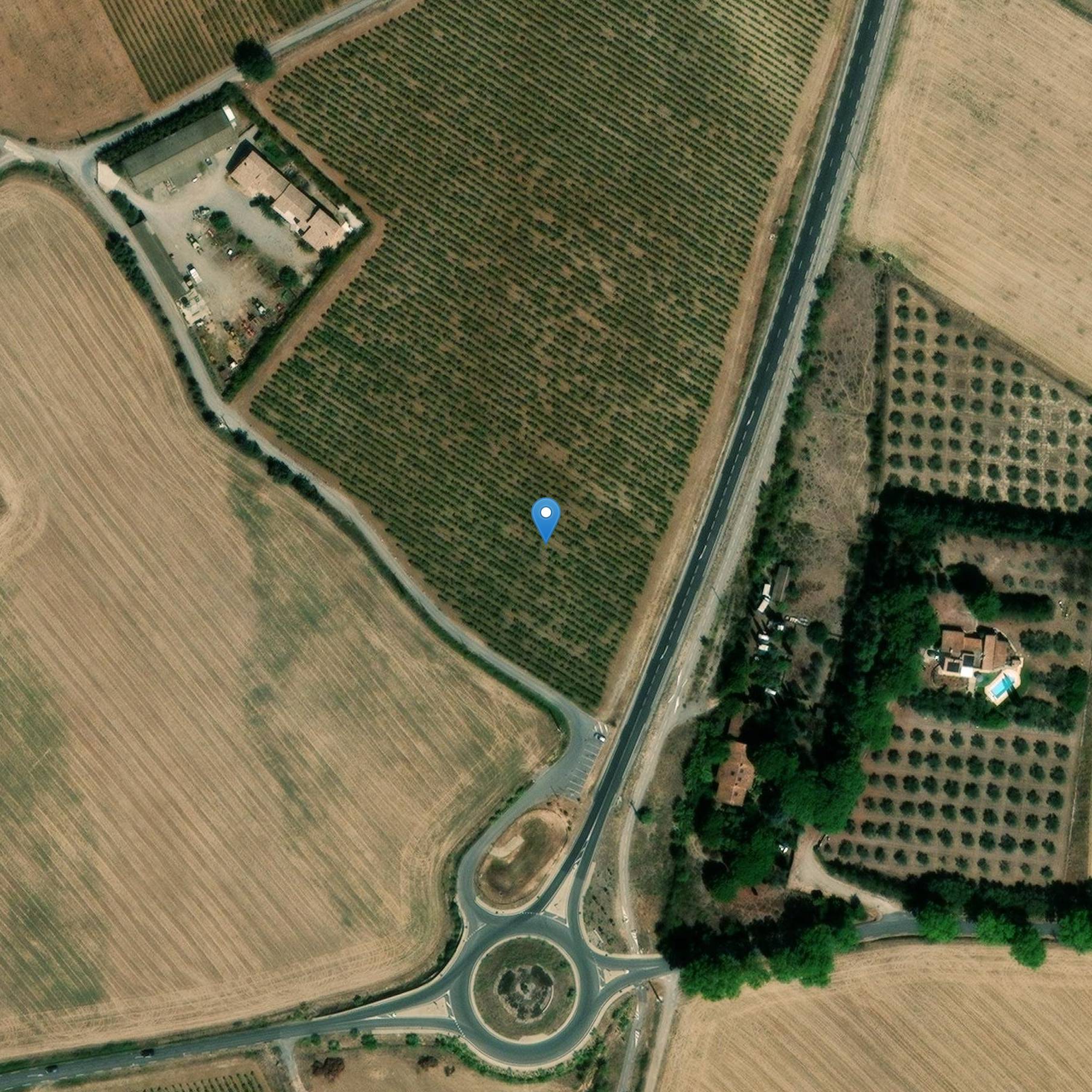 Photo de Forum Domitii de Montbazin