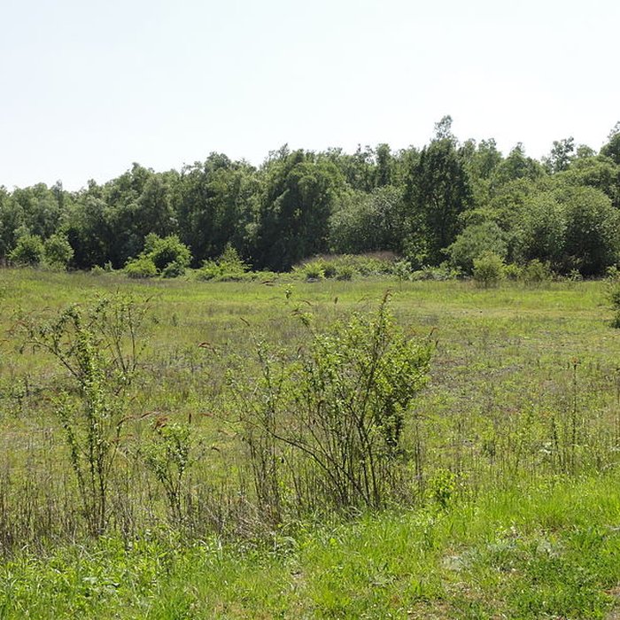 Photo de Fosse du Sarteau de Fresnes-sur-Escaut