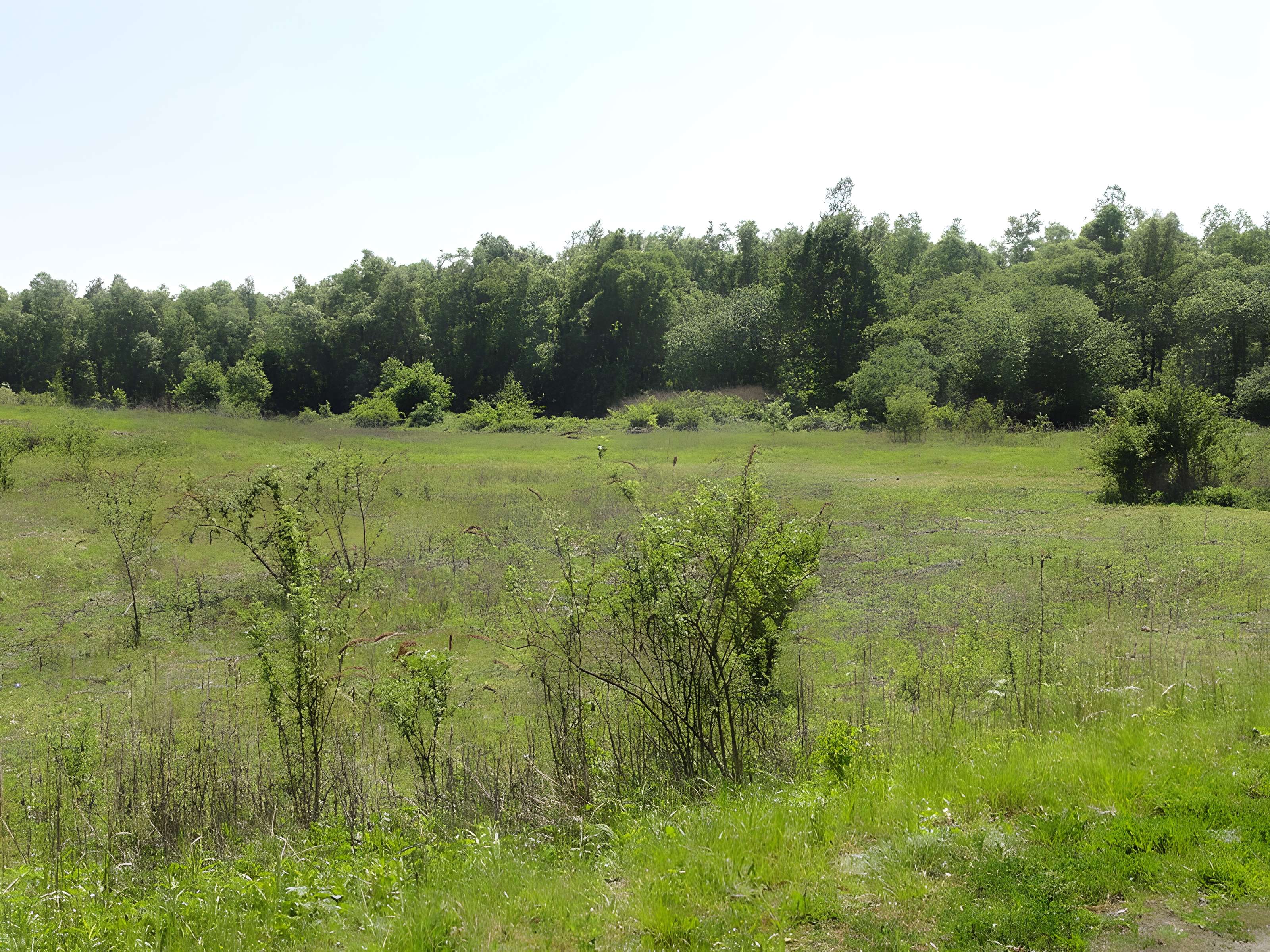 Fosse du Sarteau de Fresnes-sur-Escaut